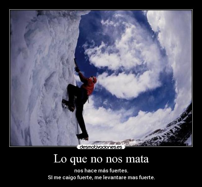 carteles dejemosnos carteles desmotivantes motivemonos con poco sidra weeee desmotivaciones