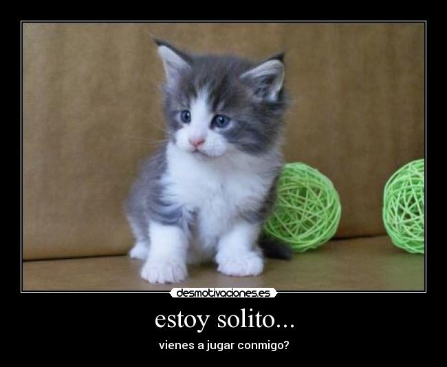 estoy solito... - vienes a jugar conmigo?