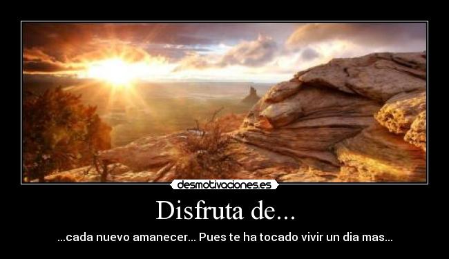 Disfruta de... - 