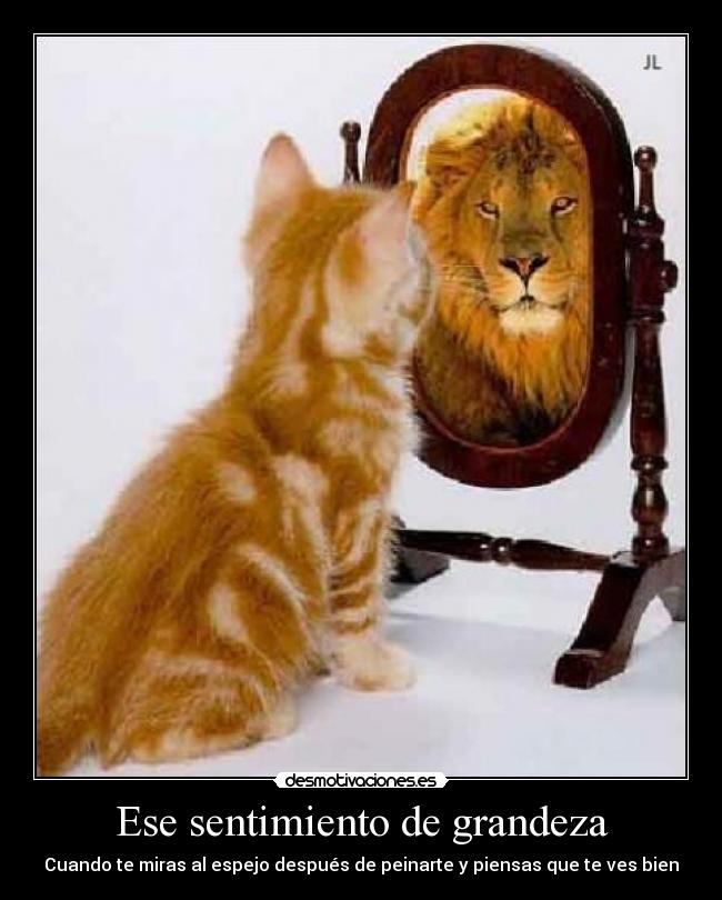 Ese sentimiento de grandeza - Cuando te miras al espejo después de peinarte y piensas que te ves bien