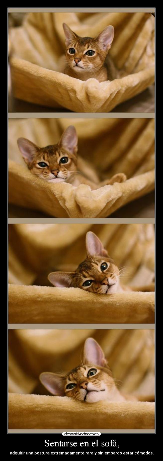 Sentarse en el sofá, - adquirir una postura extremadamente rara y sin embargo estar cómodos.