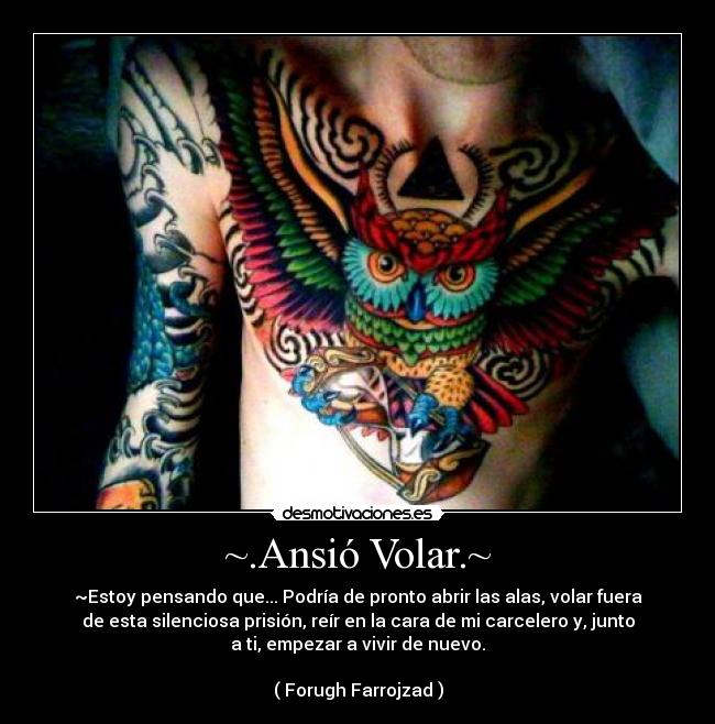 carteles ansio volar desmotivaciones