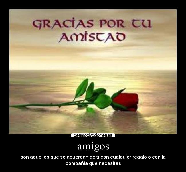 amigos -