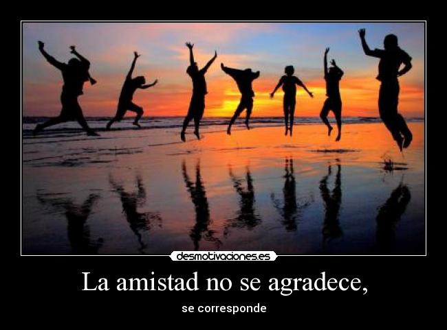 La amistad no se agradece, -