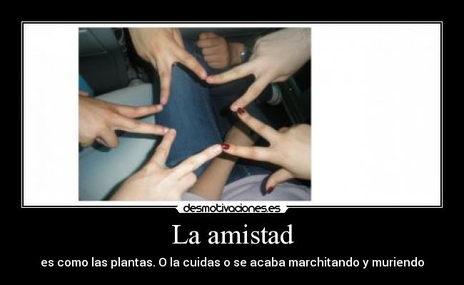 carteles amistad amistad desmotivaciones