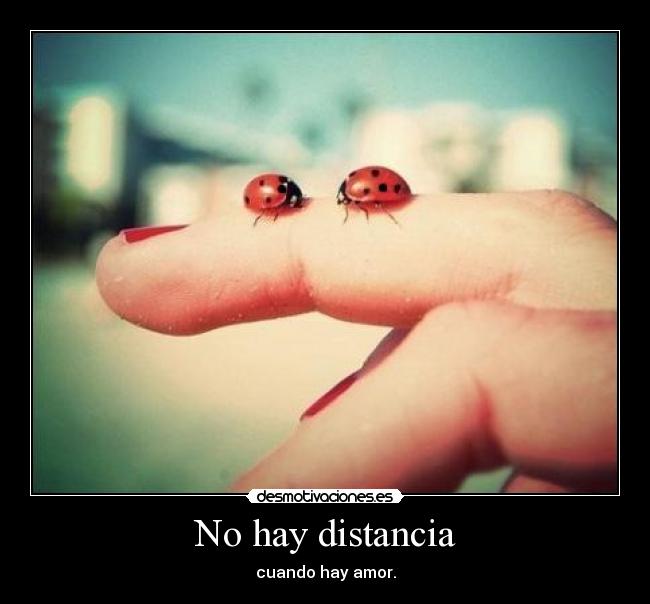 No hay distancia - 