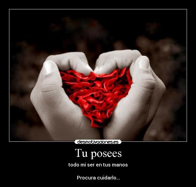 Tu posees - todo mi ser en tus manos

Procura cuidarlo...