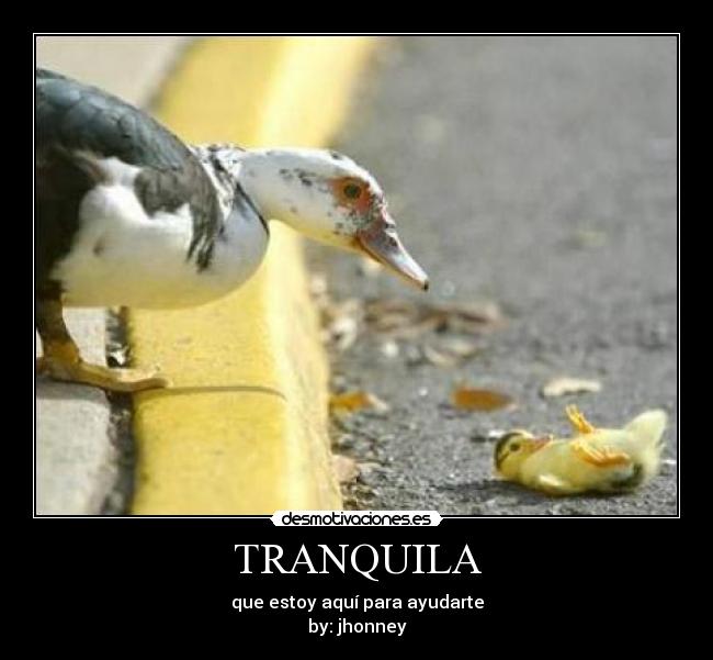 TRANQUILA -