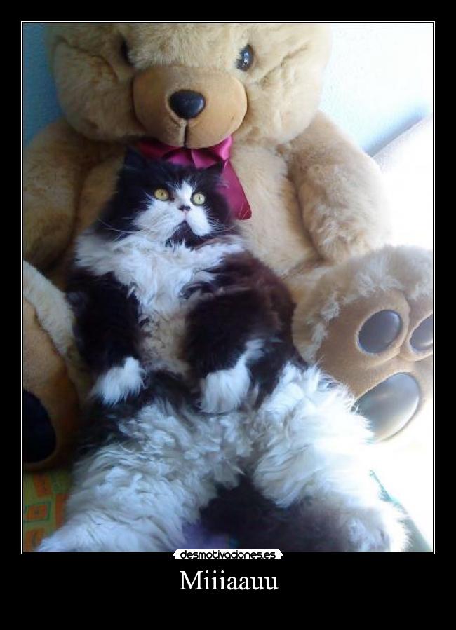 carteles mamii desmotivaciones