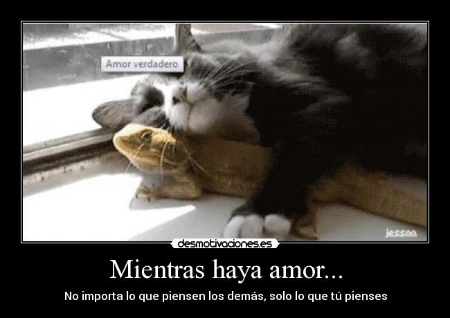 carteles amor amor gatose iguana mas hermoso que puede existir lol desmotivaciones