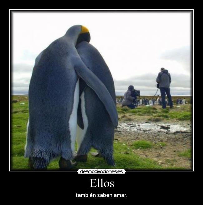 Ellos - 