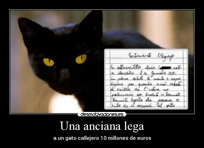 Una anciana lega - a un gato callejero 10 millones de euros