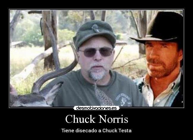 Chuck Norris - Tiene disecado a Chuck Testa