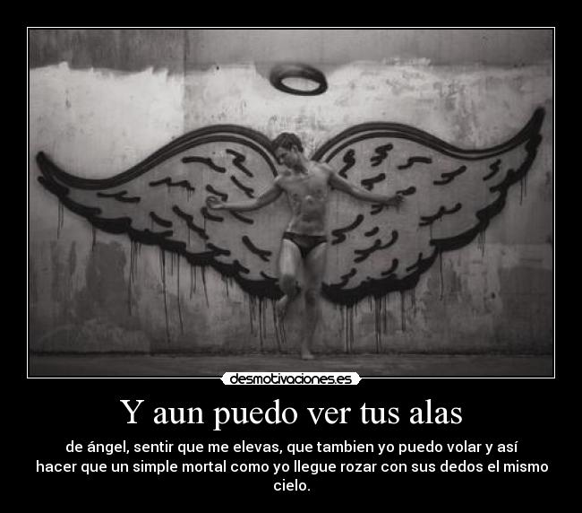 Y aun puedo ver tus alas - de ángel, sentir que me elevas, que tambien yo puedo volar y así
hacer que un simple mortal como yo llegue rozar con sus dedos el mismo
cielo.