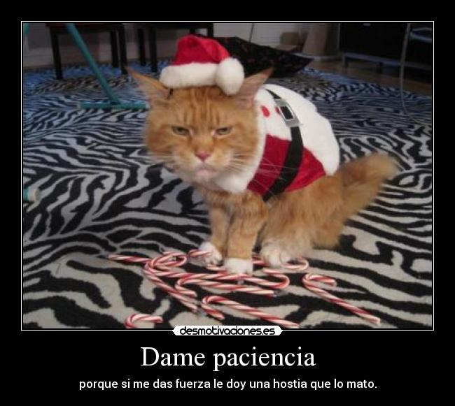 Dame paciencia -