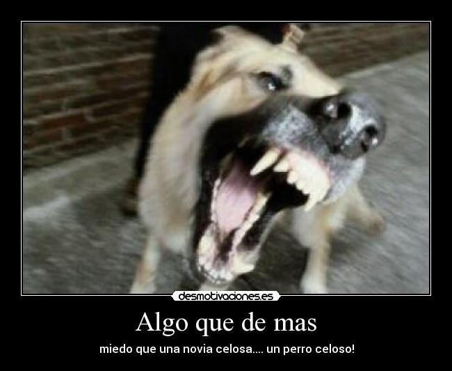 Algo que de mas - miedo que una novia celosa.... un perro celoso!