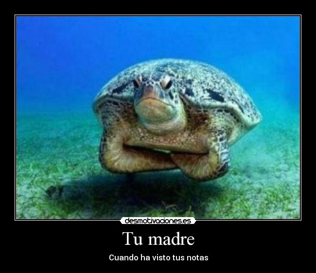 Tu madre -