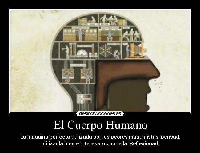 El Cuerpo Humano - La maquina perfecta utilizada por los peores maquinistas, pensad,
utilizadla bien e interesaros por ella. Reflexionad.