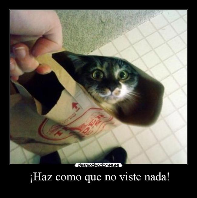 ¡Haz como que no viste nada! - 