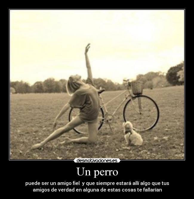 Un perro - puede ser un amigo fiel  y que siempre estará allí algo que tus
amigos de verdad en alguna de estas cosas te fallarían