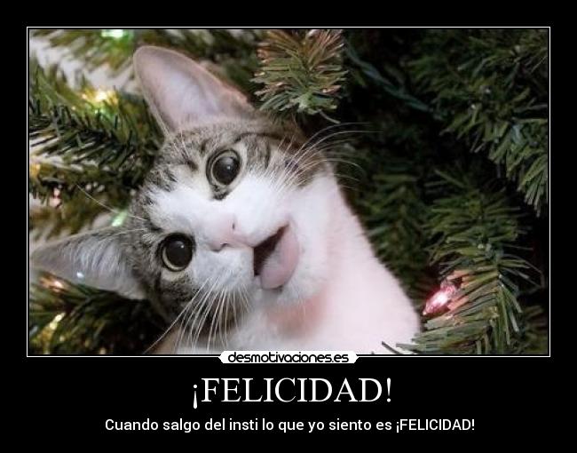 carteles felicidad chikarita desmotivaciones