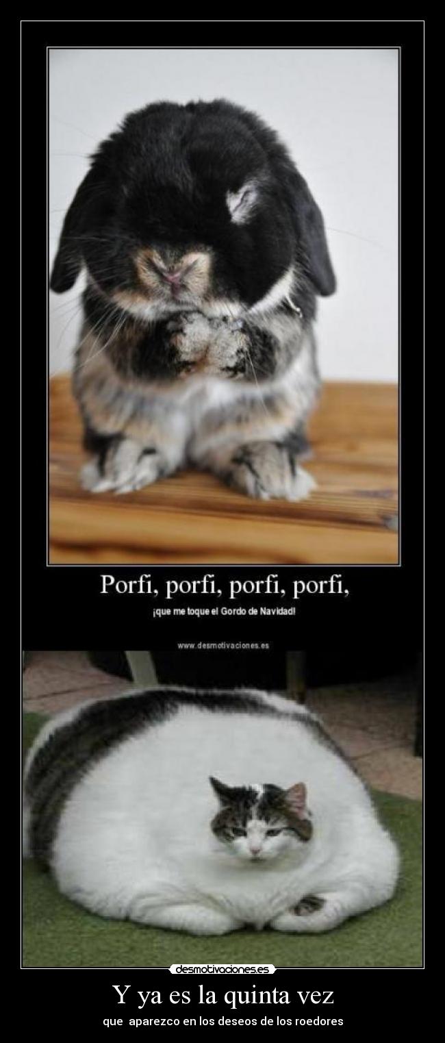 Y ya es la quinta vez - que aparezco en los deseos de los roedores