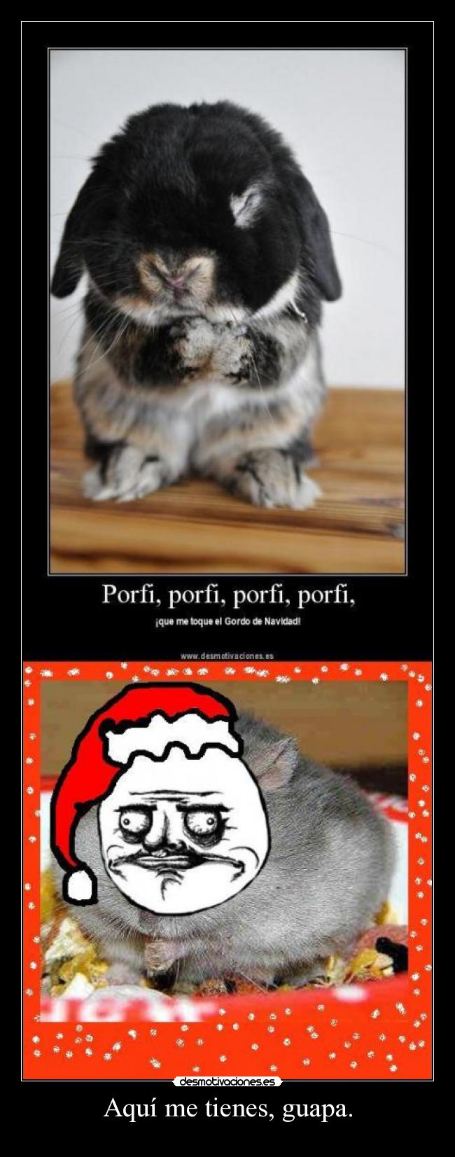 carteles hamster gordo obeso navidad premio desmotivaciones