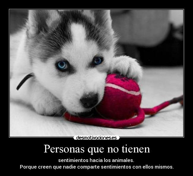 Personas que no tienen - sentimientos hacia los animales. 
Porque creen que nadie comparte sentimientos con ellos mismos.
