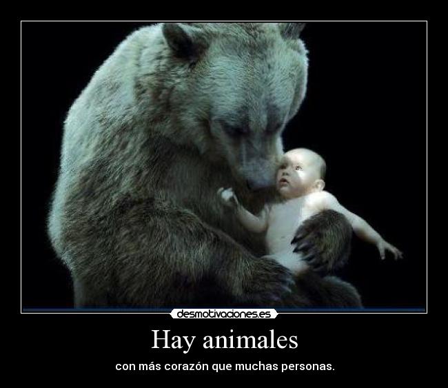 Hay animales - con más corazón que muchas personas.