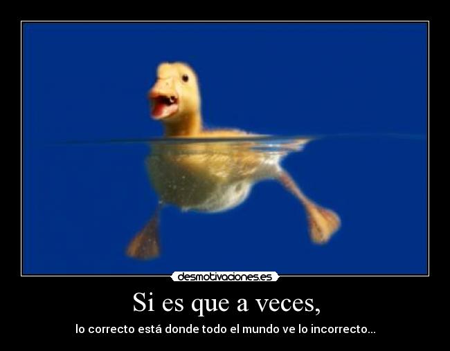 Si es que a veces, - lo correcto está donde todo el mundo ve lo incorrecto...
