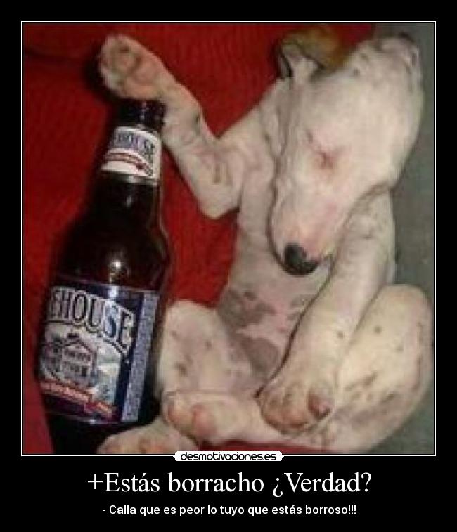 +Estás borracho ¿Verdad? - - Calla que es peor lo tuyo que estás borroso!!!