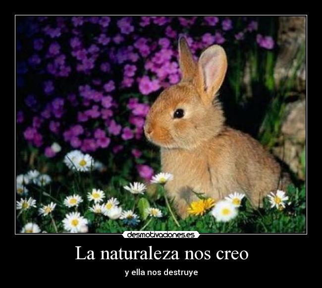 La naturaleza nos creo - y ella nos destruye