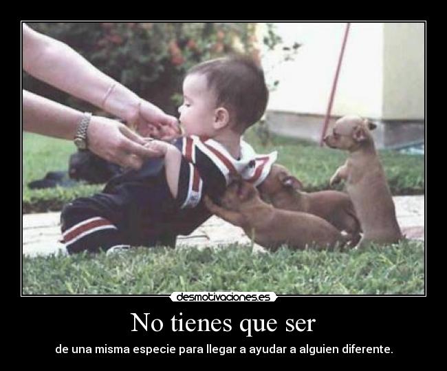 No tienes que ser -
