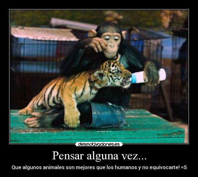 Pensar alguna vez... - Que algunos animales son mejores que los humanos y no equivocarte! =S