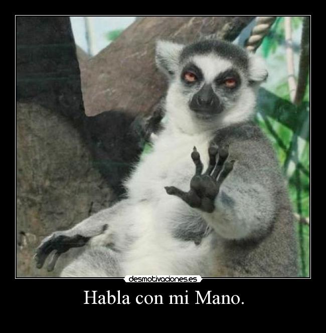 Habla con mi Mano. -