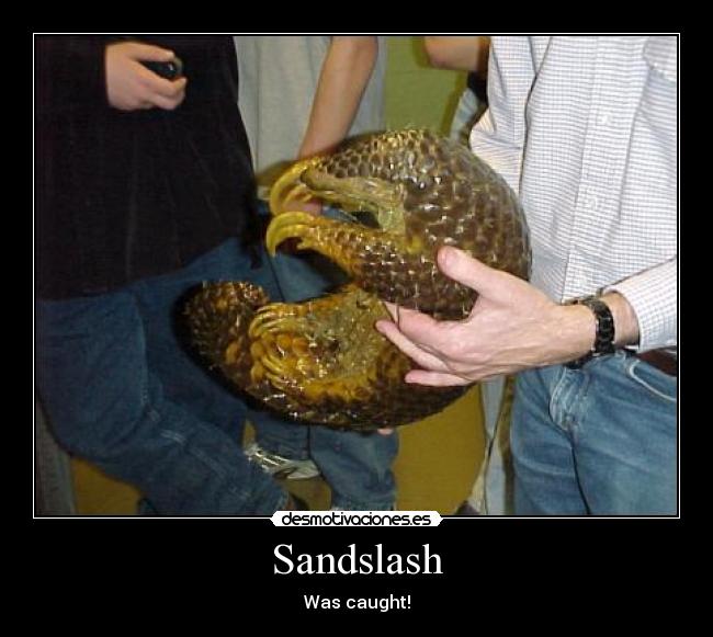 Sandslash - Was caught!