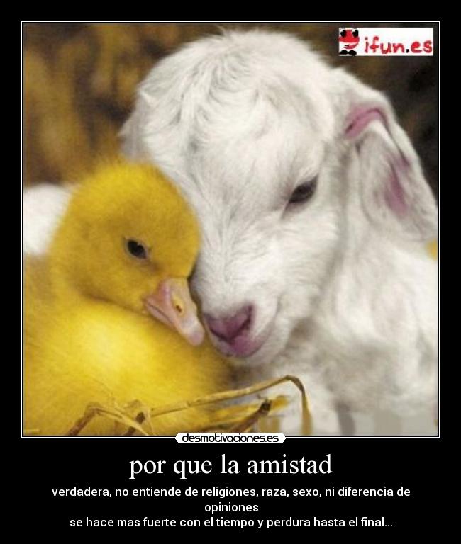 carteles amistad desmotivaciones