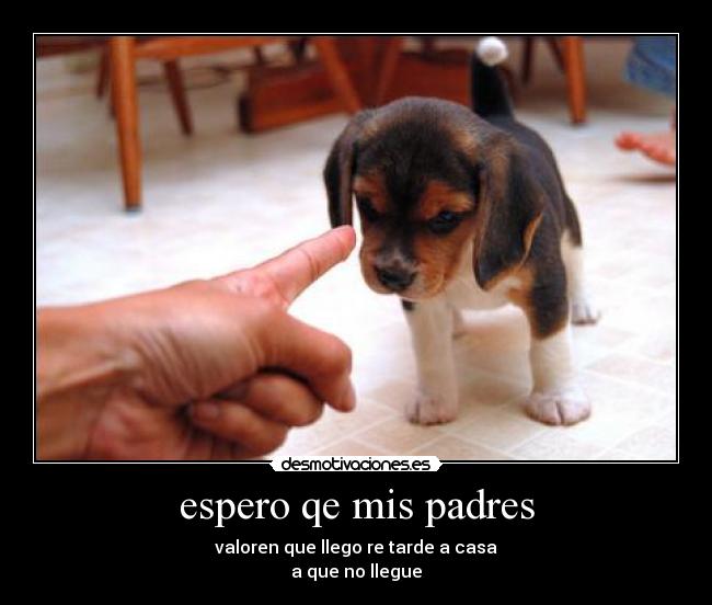 espero qe mis padres -