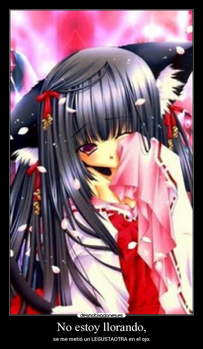 No estoy llorando, -