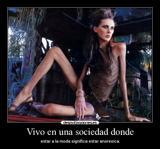 carteles sociedad cruda realidad desmotivaciones