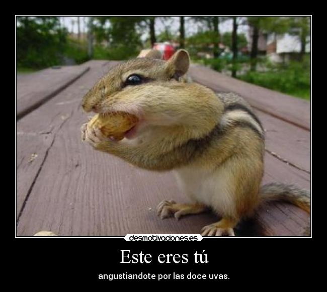 Este eres tú - angustiandote por las doce uvas.