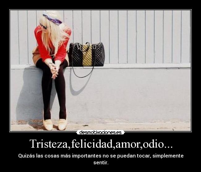 carteles anabel desmotivaciones