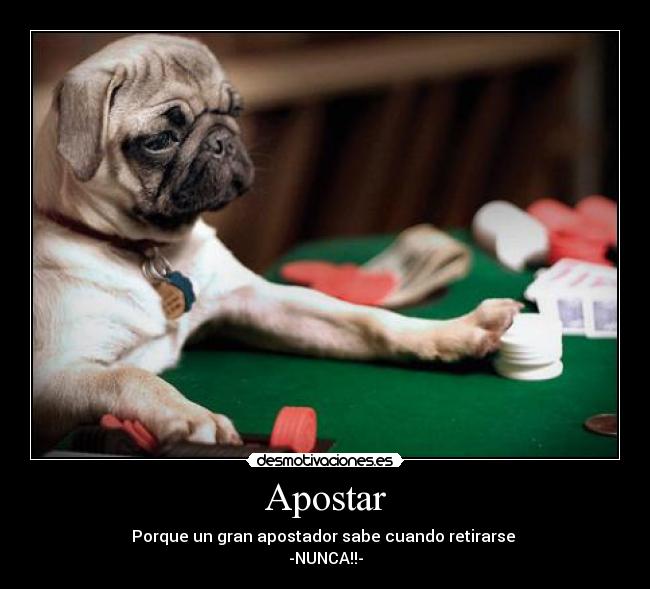 Apostar - Porque un gran apostador sabe cuando retirarse
-NUNCA!!-