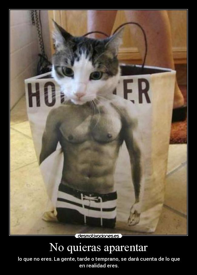 No quieras aparentar - 