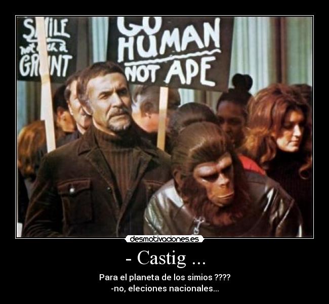 carteles casting desmotivaciones