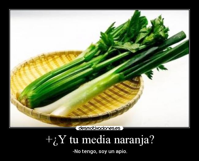 +¿Y tu media naranja? - -No tengo, soy un apio.