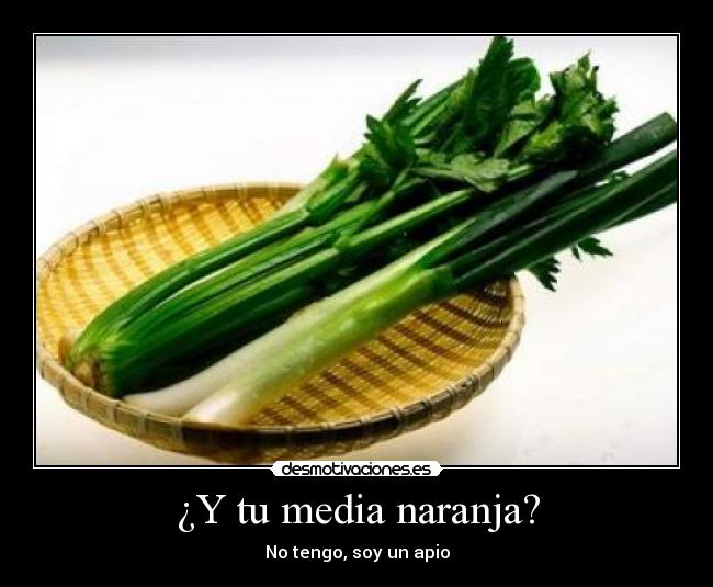 ¿Y tu media naranja? - 