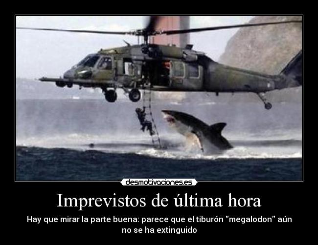 Imprevistos de última hora - Hay que mirar la parte buena: parece que el tiburón megalodon aún
no se ha extinguido
