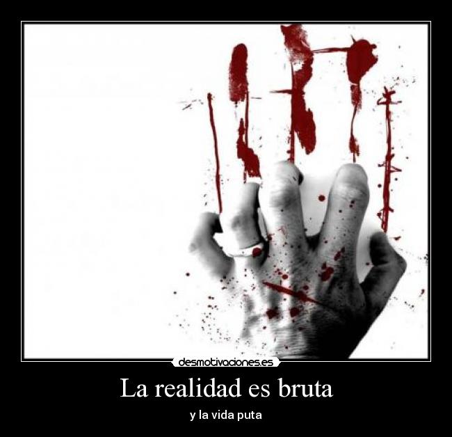 La realidad es bruta - 