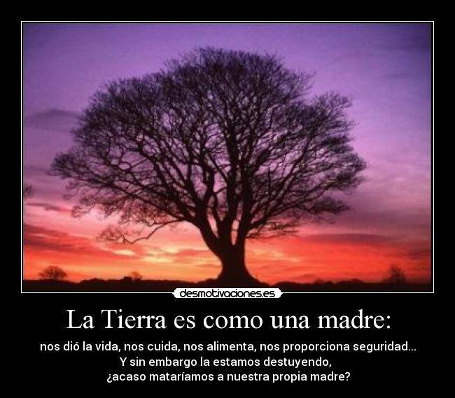 La Tierra es como una madre: - 
